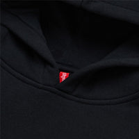 Thumbnail for TLD 25.1 YTH TORCHED HOODIE