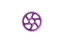 HOPE R22 eBike Chainring Brose