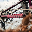 DYEDBRO - Frame Protection Shush Chainstay - Pink – view 2