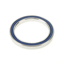 ENDURO BEARINGS 6810 LLB