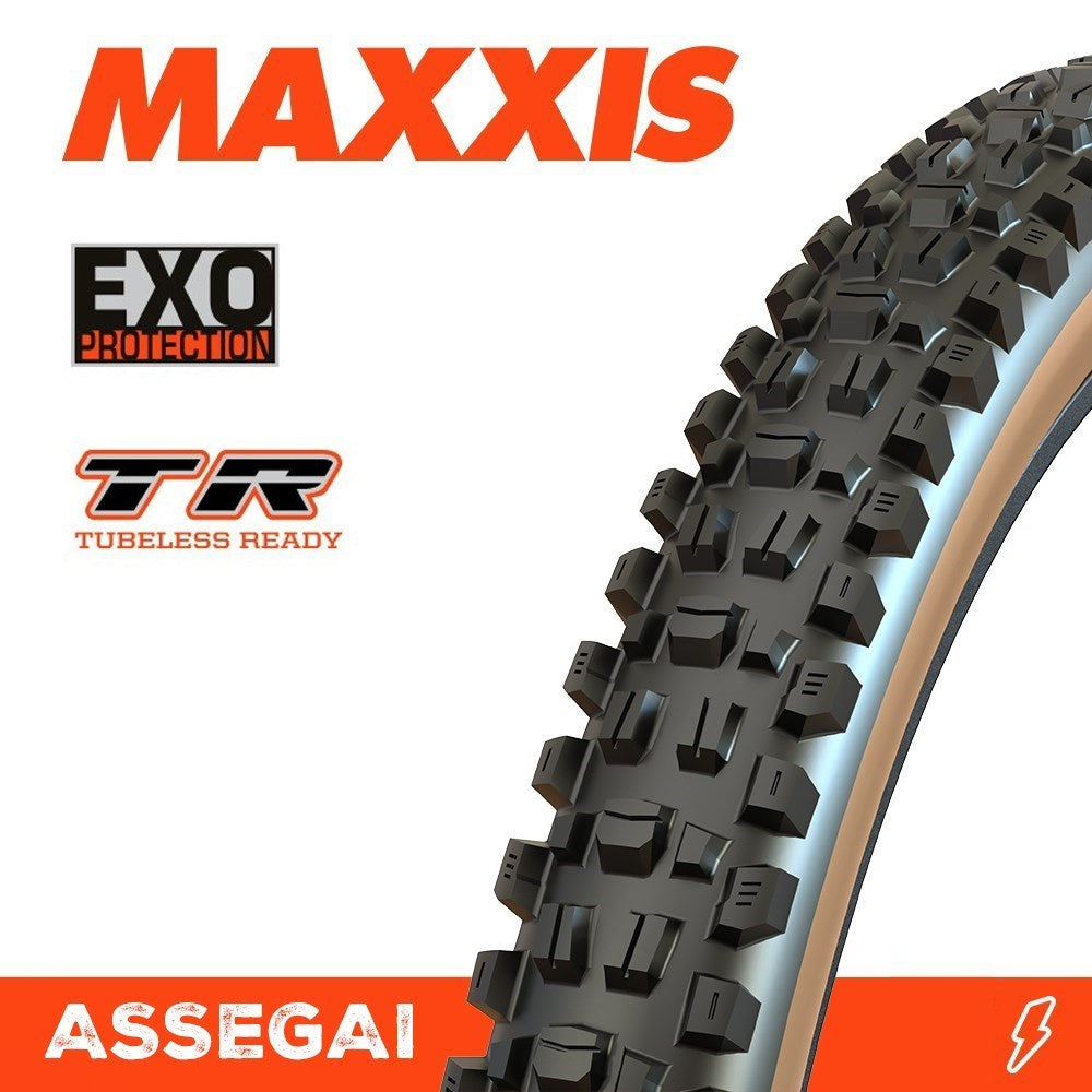 ASSEGAI 27.5 X 2.50