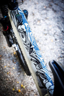 DYEDBRO - Frame Protection NEO Kaos - MTB-EMTB Gloss Black