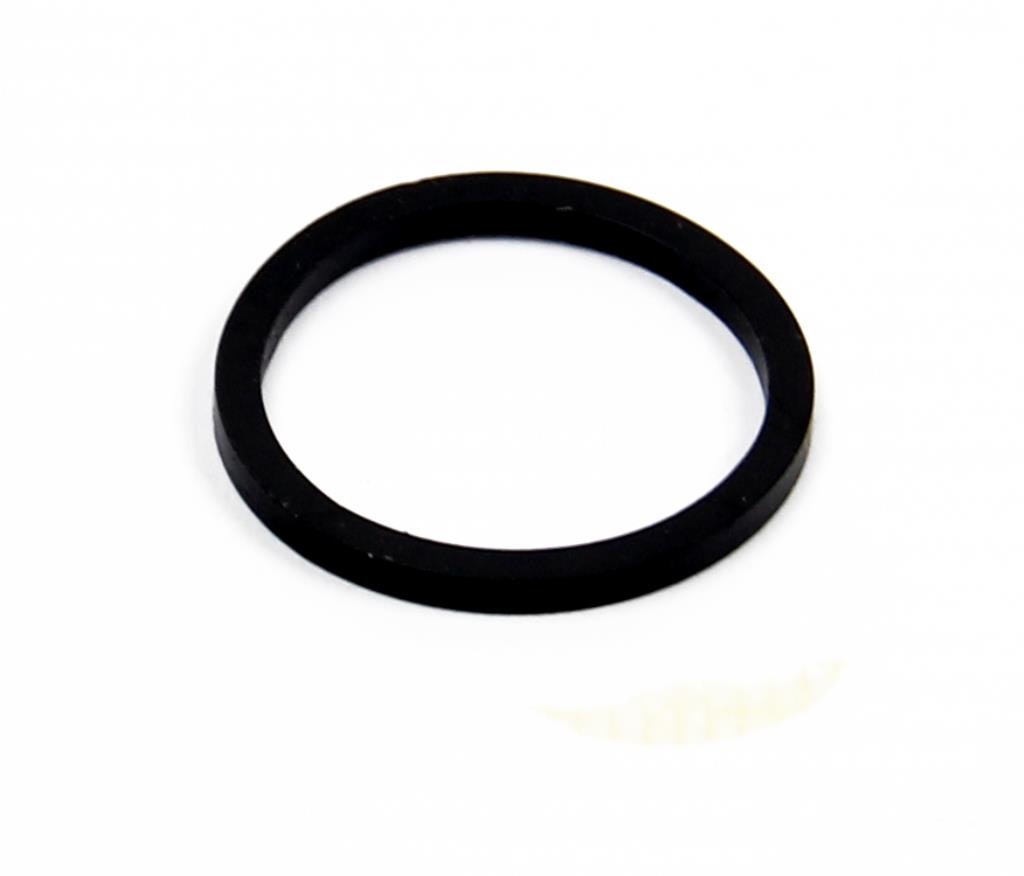 Hope X2 - Caliper Piston Seal