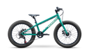 NORCO Storm 20 DISC - Green